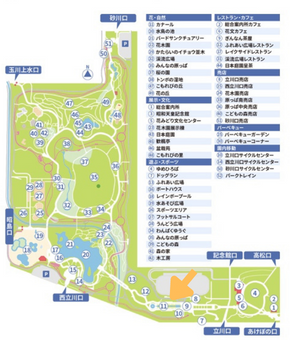 昭和記念公園　カナールイチョウ並木　場所