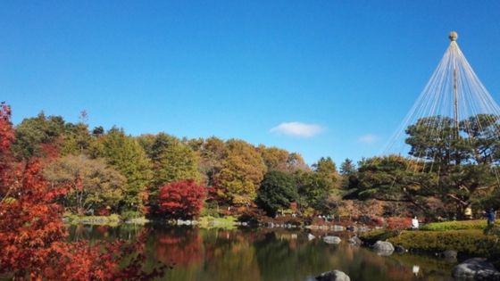 昭和記念公園　紅葉　2023 混雑　見ごろ　いつ　期間　時間　日本庭園　イチョウ　予約　ライトアップ