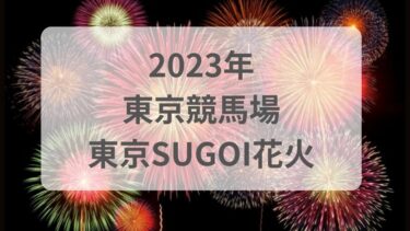 東京競馬場2023の場外の無料で見える場所＆雨天開催について｜東京SUGOI花火