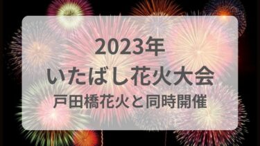 板橋花火大会2023有料席チケット情報や無料の穴場スポット＆屋台情報
