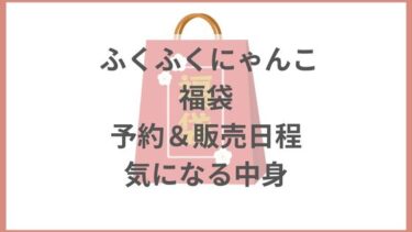 ふくふくにゃんこ福袋2024の店舗＆ネット予約期間と中身ネタバレ