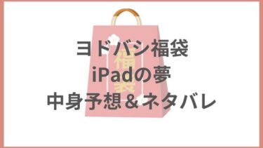 ヨドバシ福袋2024『iPadの夢』の中身予想＆ネタバレ