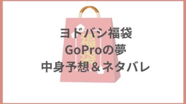 ヨドバシ福袋2024『GoProの夢』の中身予想＆ネタバレ