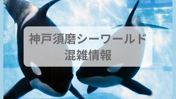 神戸須磨シーワールド　混雑状況　リアルタイム　シャチレストラン　予約　ショー　当日券　時間帯　